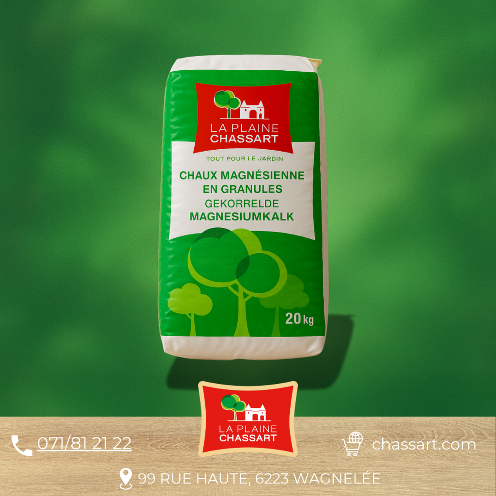 Portafoglio Laura Biagiotti In Vera Pelle - Spazioso, Con Scatola Regalo, Per Donna - Foto 3